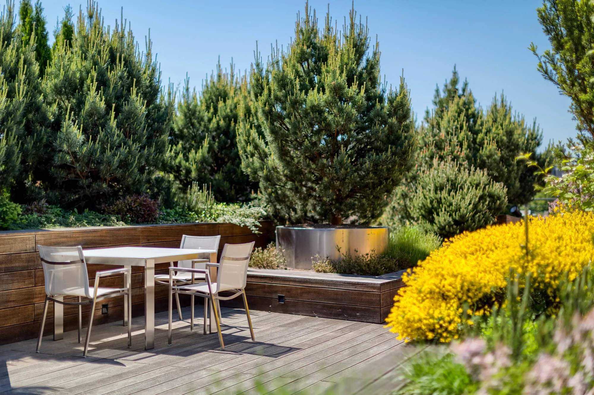 Office terrace surrounded by pine trees and flowering plants
